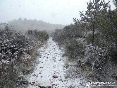 Valle del Ambroz-Sierra de Bejar - Gredos; madrid senderismo; viajes de montaña;foro de senderismo